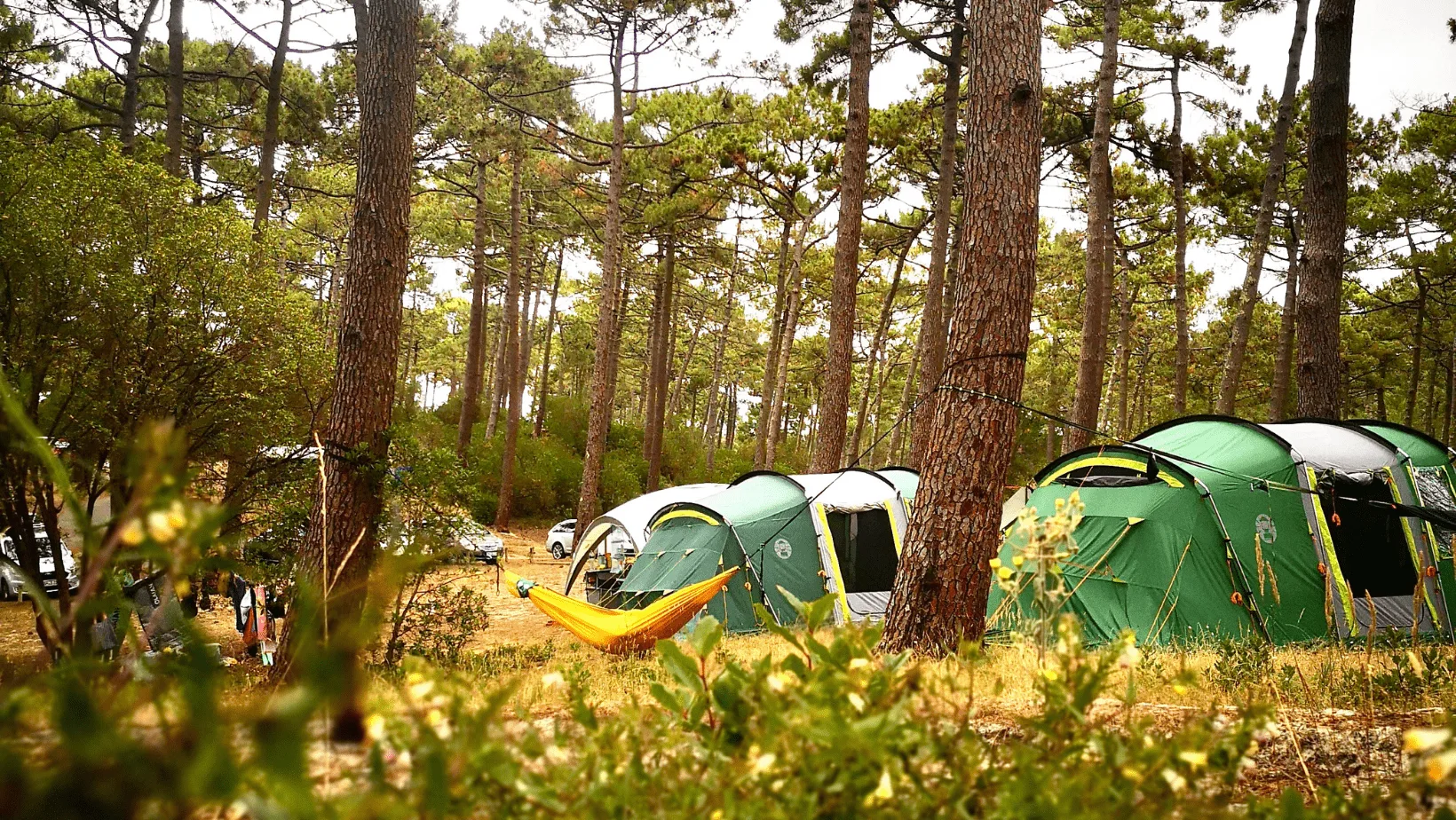 Camping du Ranch