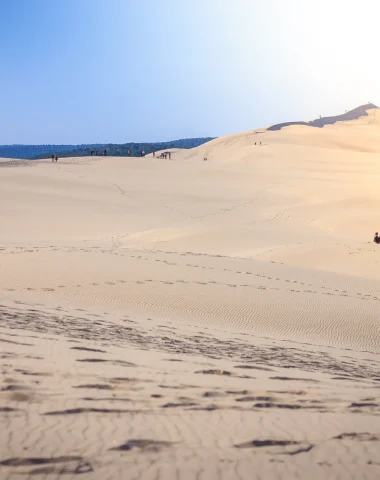 Campings à la Dune du Pilat