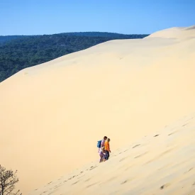 Campings à la Dune du Pilat